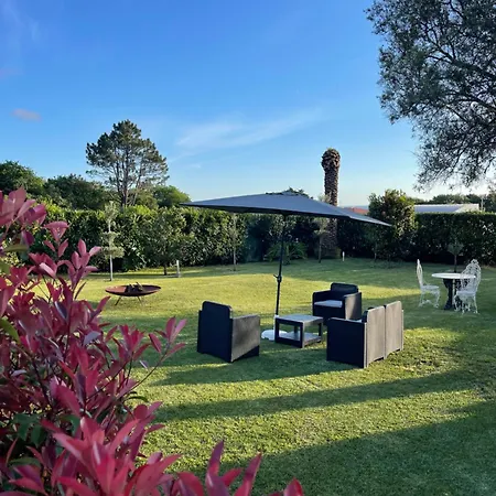 Fonte Do Forno * 阿菲菲